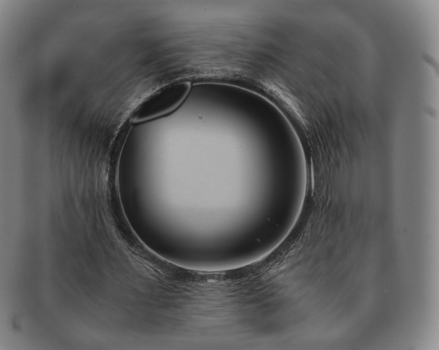 X0000091570483200708271202