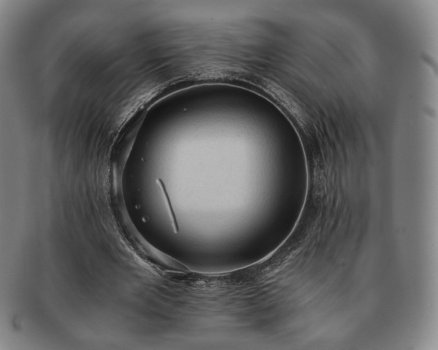 X0000091570485200708271202