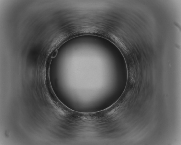 X0000091570486200708271202
