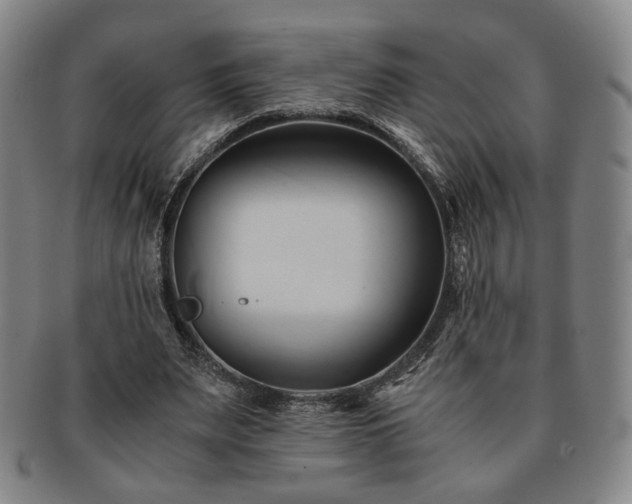 X0000091570487200708271202