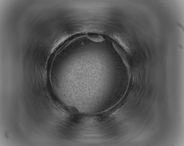 X0000091570488200708271202