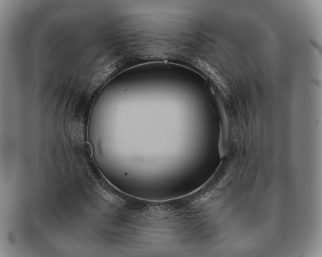 X0000091570489200708271202