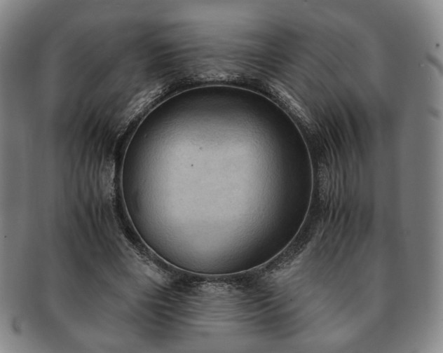 X0000091570490200708271202