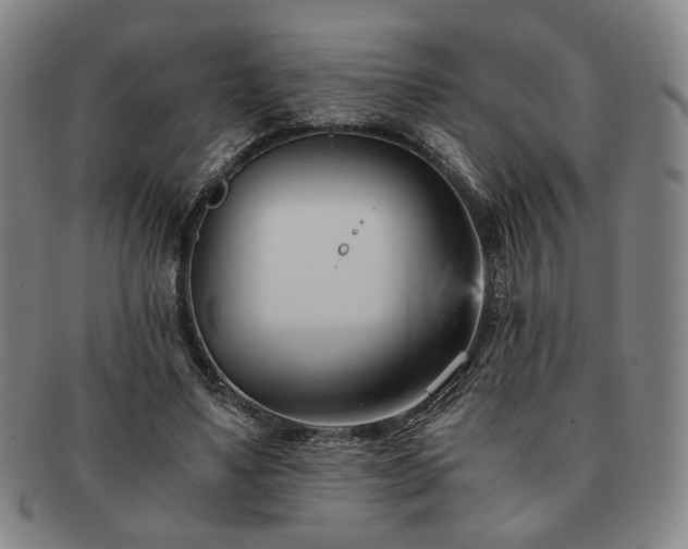 X0000091570491200708271202