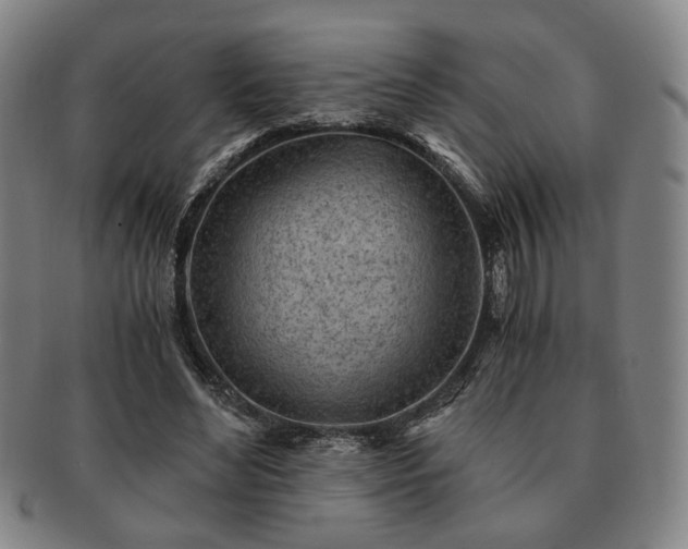 X0000091570492200708271202