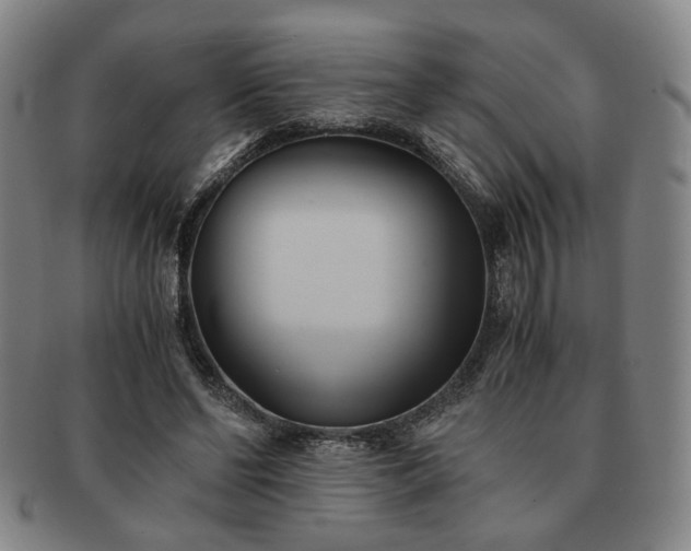 X0000091570494200708271202