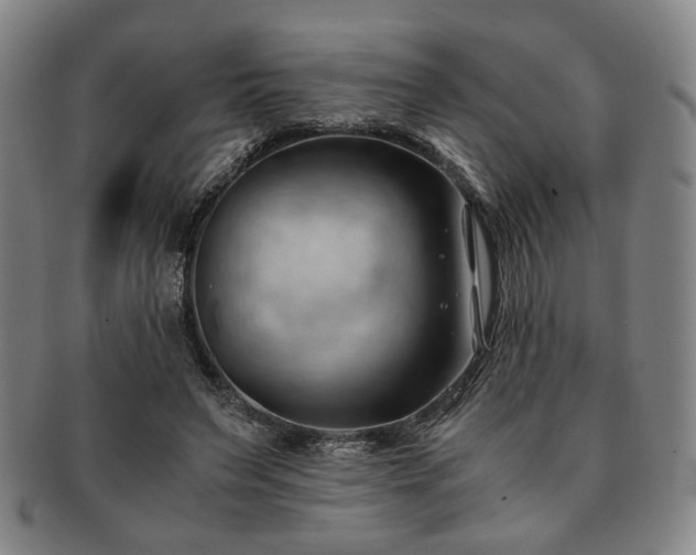 X0000091570495200708271202