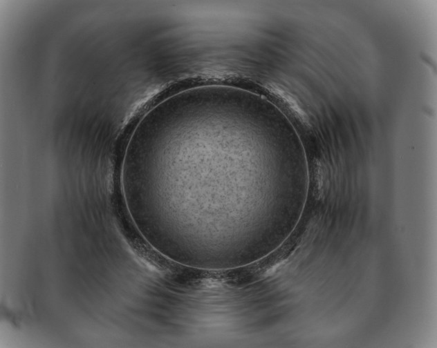 X0000091570496200708271201