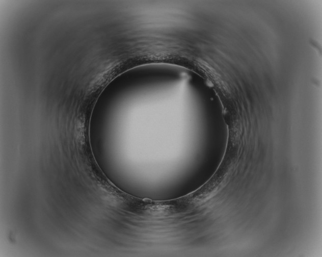 X0000091570497200708271201