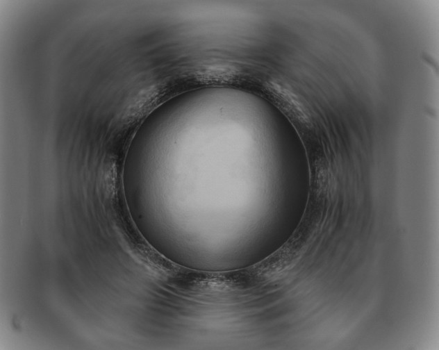 X0000091570498200708271201