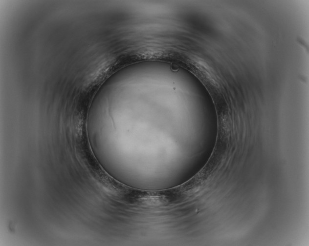 X0000091570499200708271201