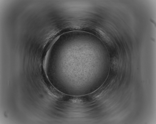 X0000091570500200708271201