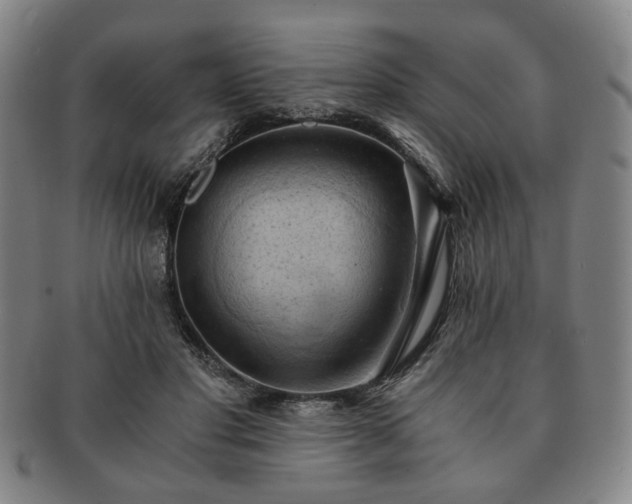 X0000091570501200708271201
