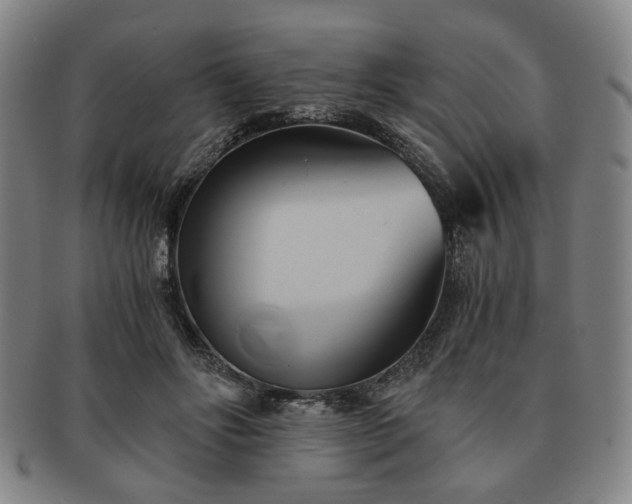 X0000091570502200708271201