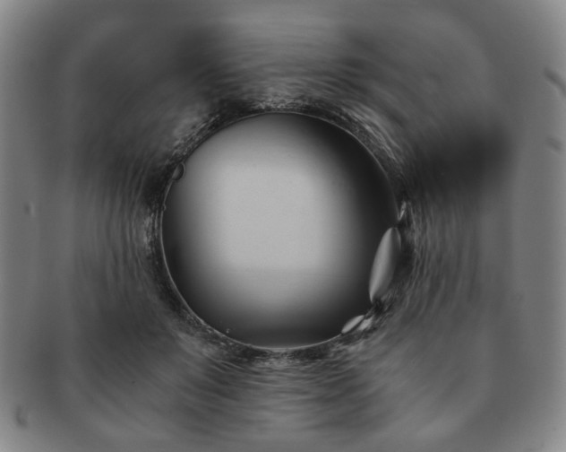 X0000091570503200708271201