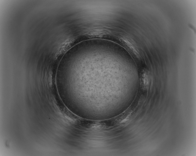 X0000091570504200708271201