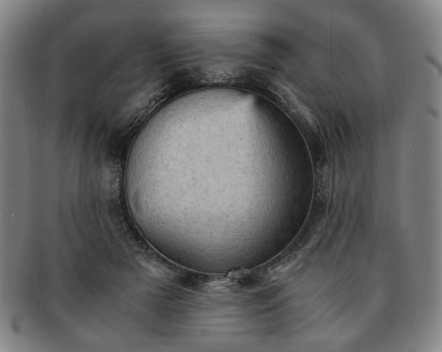 X0000091570505200708271201