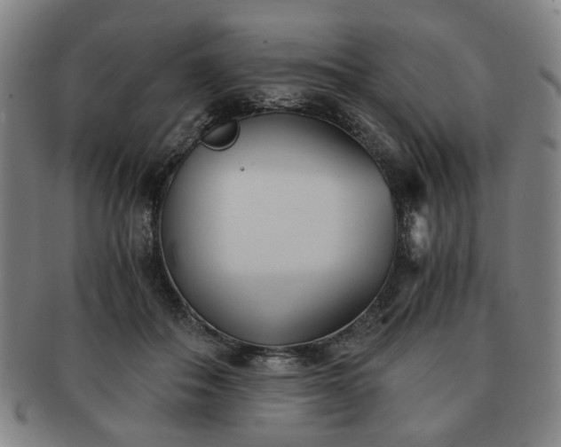 X0000091570506200708271201