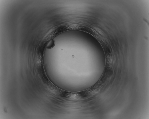 X0000091570507200708271201