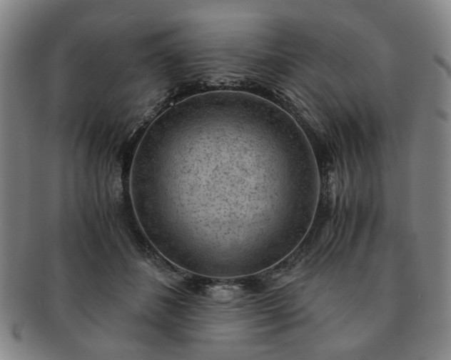 X0000091570508200708271201