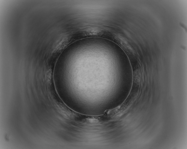 X0000091570509200708271201