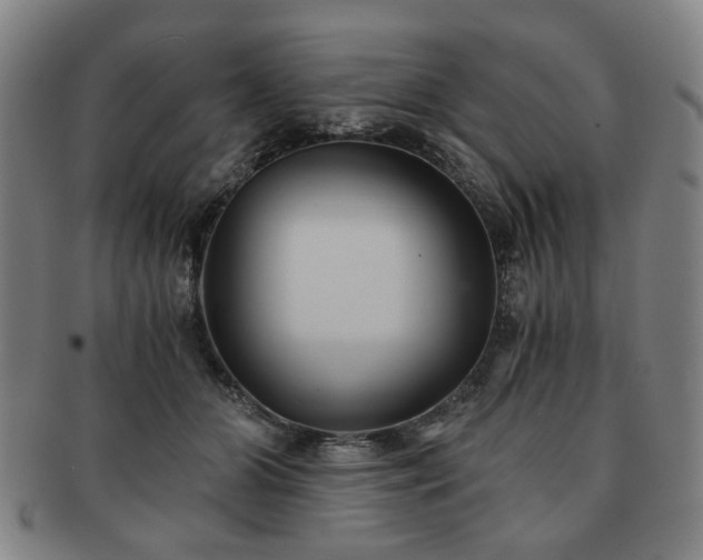 X0000091570510200708271201