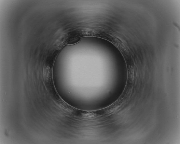X0000091570511200708271201