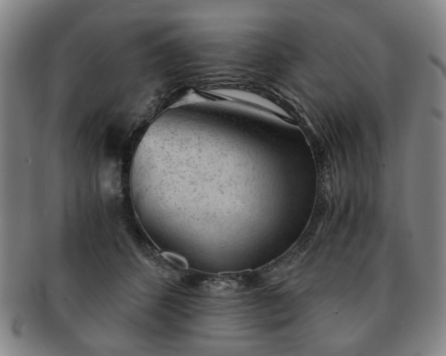 X0000091570512200708271201