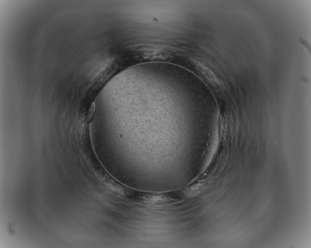 X0000091570513200708271201