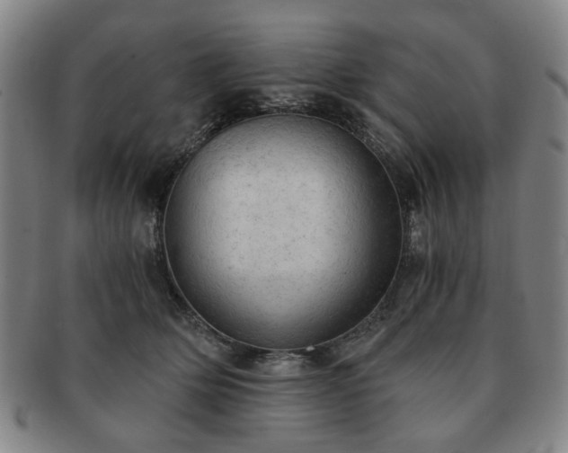 X0000091570514200708271201