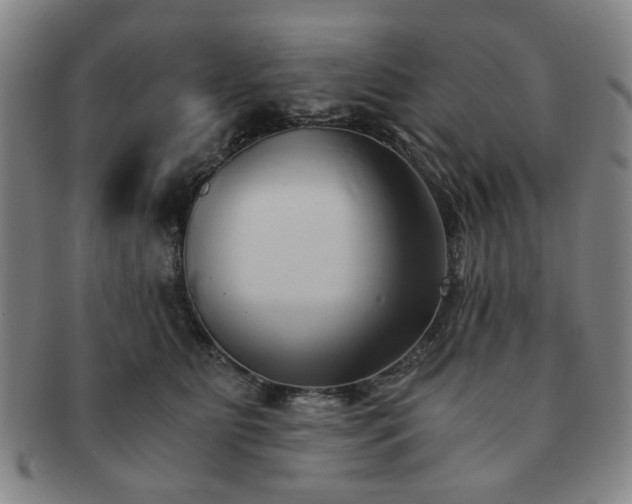 X0000091570515200708271201