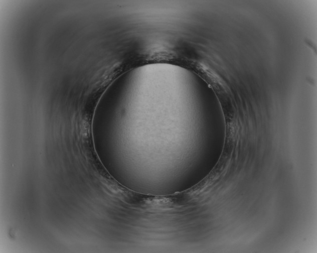 X0000091570517200708271201