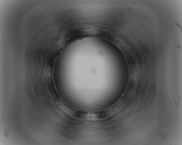 X0000091570518200708271201