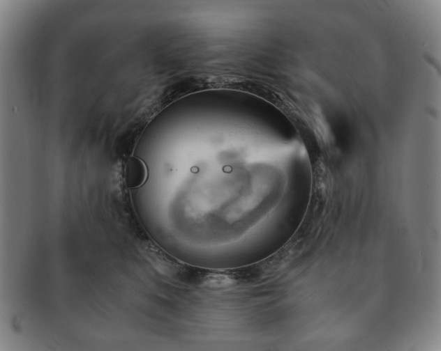 X0000091570519200708271201