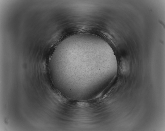 X0000091570520200708271201