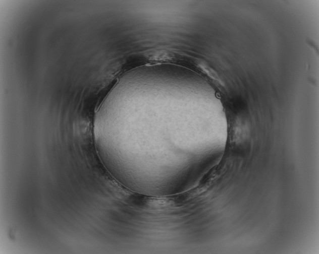 X0000091570521200708271201