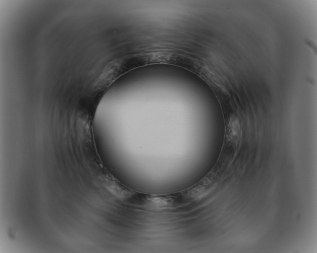 X0000091570522200708271201