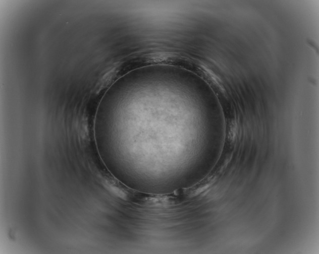 X0000091570524200708271201