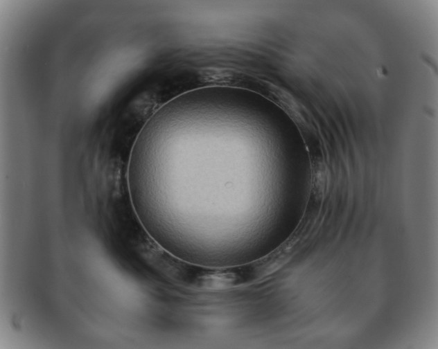 X0000091570525200708271201