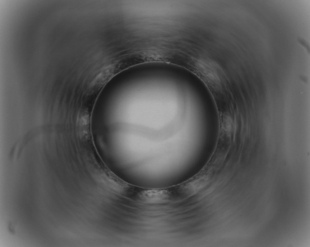 X0000091570526200708271201