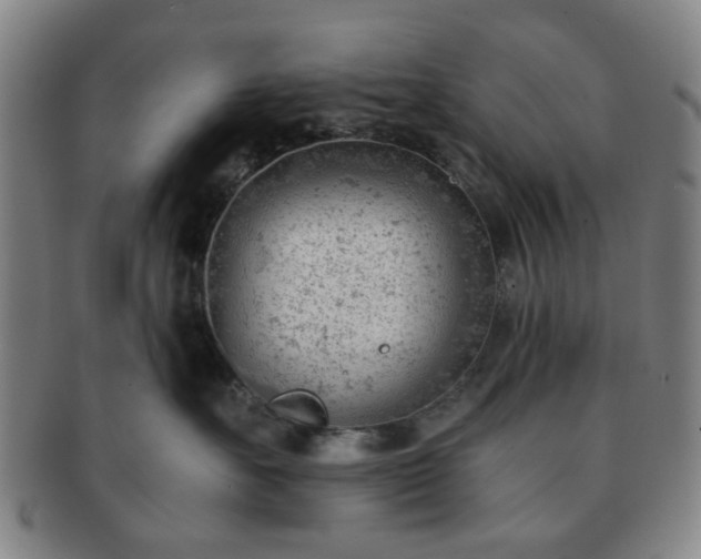 X0000091570527200708271201