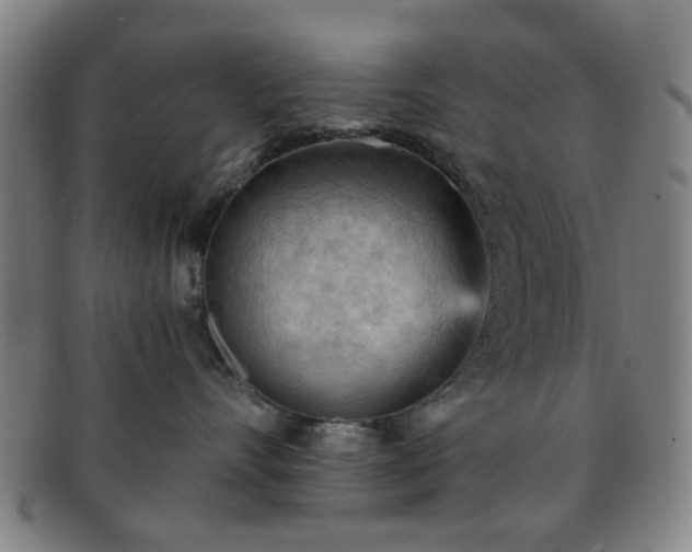 X0000091570528200708271201