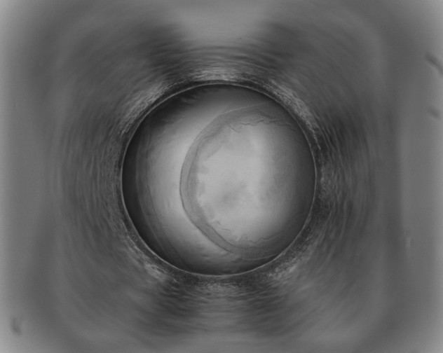 X0000091570529200708271200