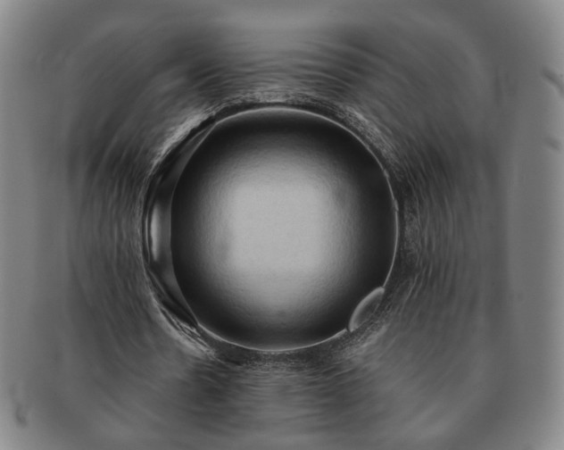 X0000091570530200708271200