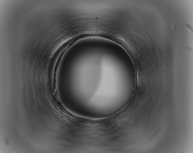 X0000091570531200708271200