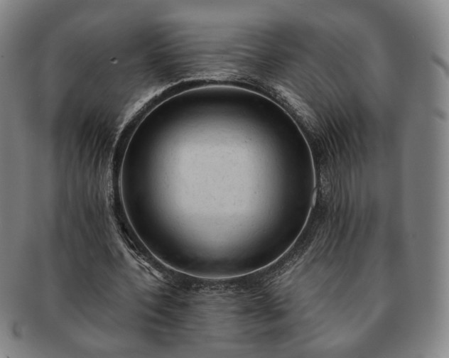 X0000091570532200708271200