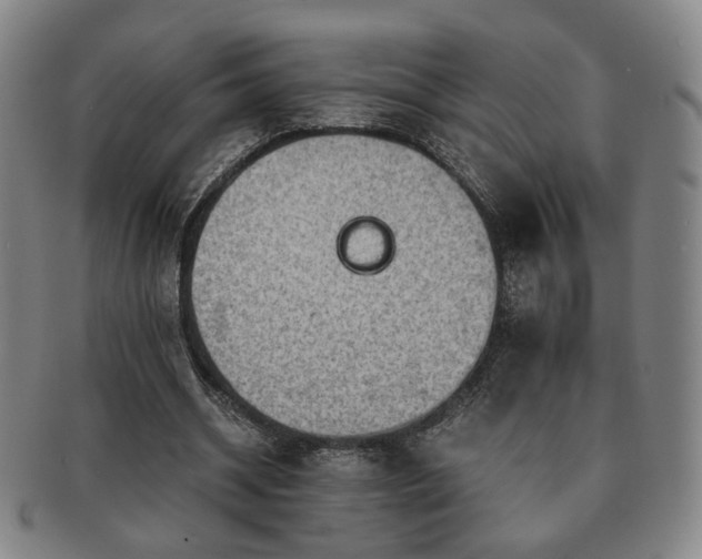 X0000091570534200708271200