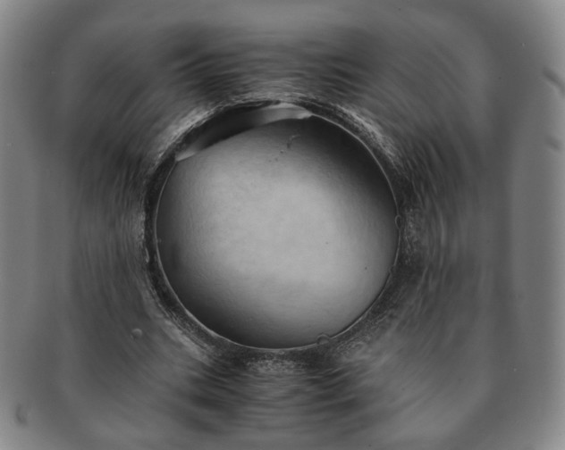 X0000091570535200708271200