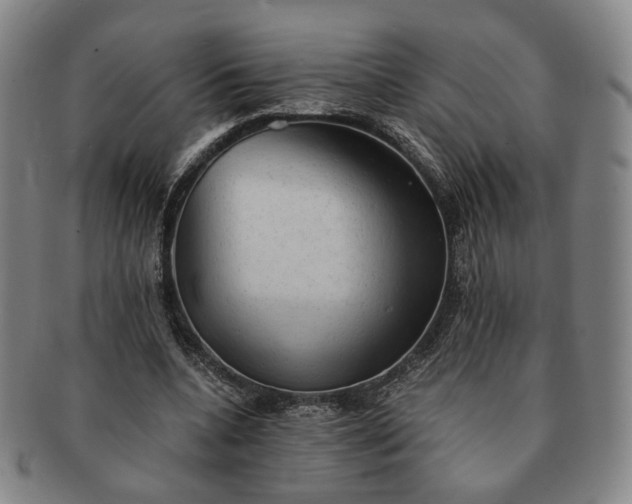 X0000091570536200708271200