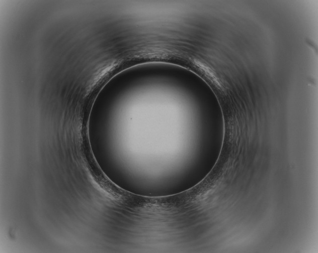 X0000091570538200708271200